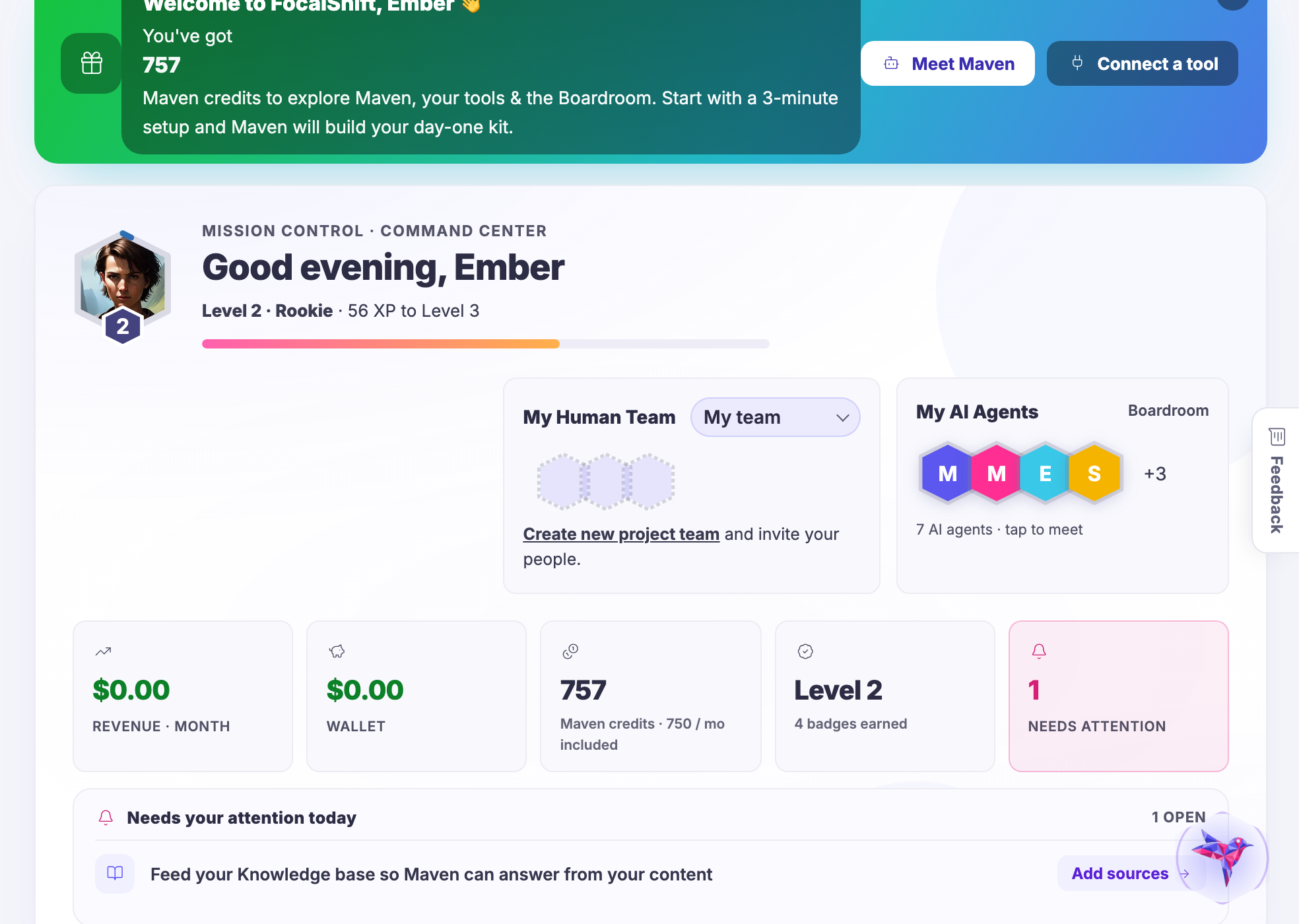 The Mission Control home screen: the greeting, the team and agents, and the row of tiles for revenue, wallet, credits and what needs attention.